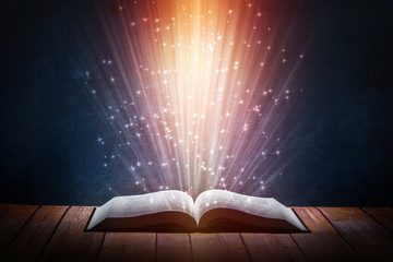 福特嘉年华15款