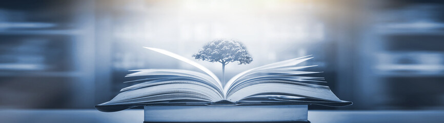 福特嘉年华15款