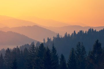 国5车能过户到海南吗？