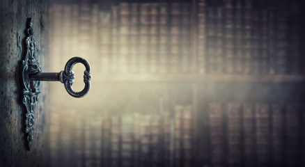 福特嘉年华15款