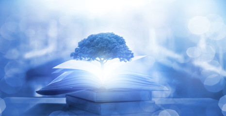 售6.98万~7.48万 长安奔奔E-Star正式上市