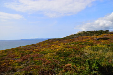 国5车能过户到海南吗？