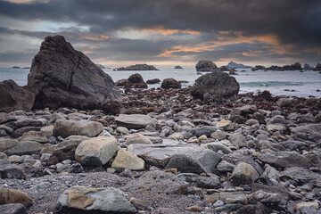 上海植物园几点关门时间