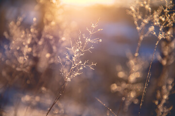 国5车能过户到海南吗？