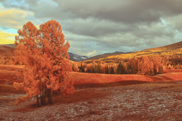 国5车能过户到海南吗？