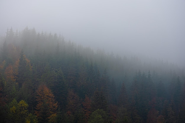 三年级上册脱式算式100道