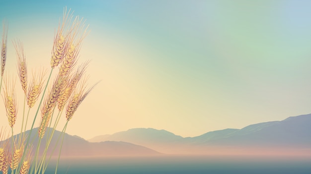 公司高层管理人员岗位职责