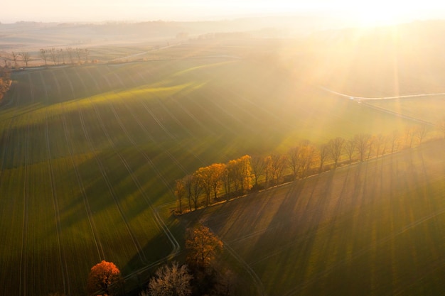 上海植物园几点关门时间
