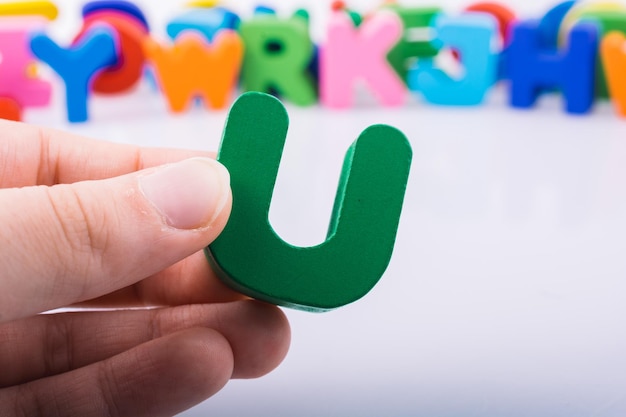 上海植物园几点关门时间