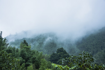知识科普有什么方式